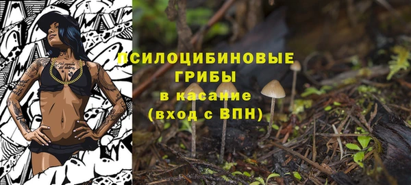 таблы Алзамай