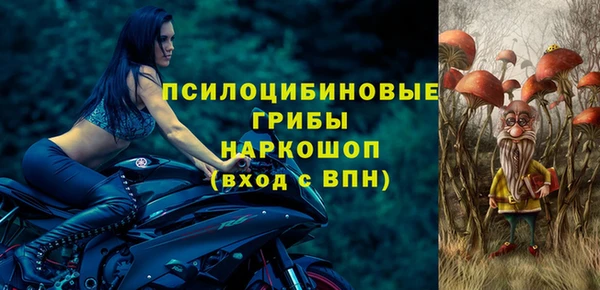 шишки Алексин