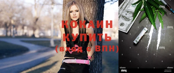 шишки Алексин