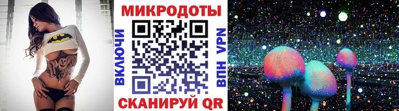 купить закладку  Малаховка  Псилоцибиновые грибы Psilocybine cubensis 